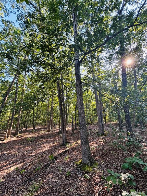 Tbd County Road 2330 Property Photo 1