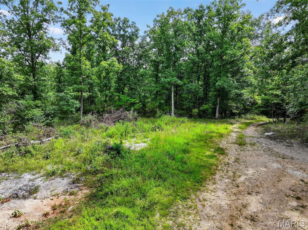 0 Pendleton Lost Creek Road 4+ Acres Property Photo 1