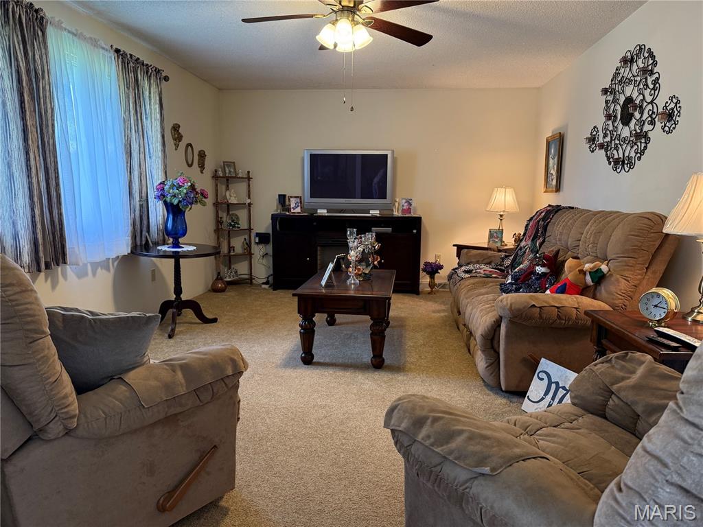 17351 Highway Nn Property Photo 6