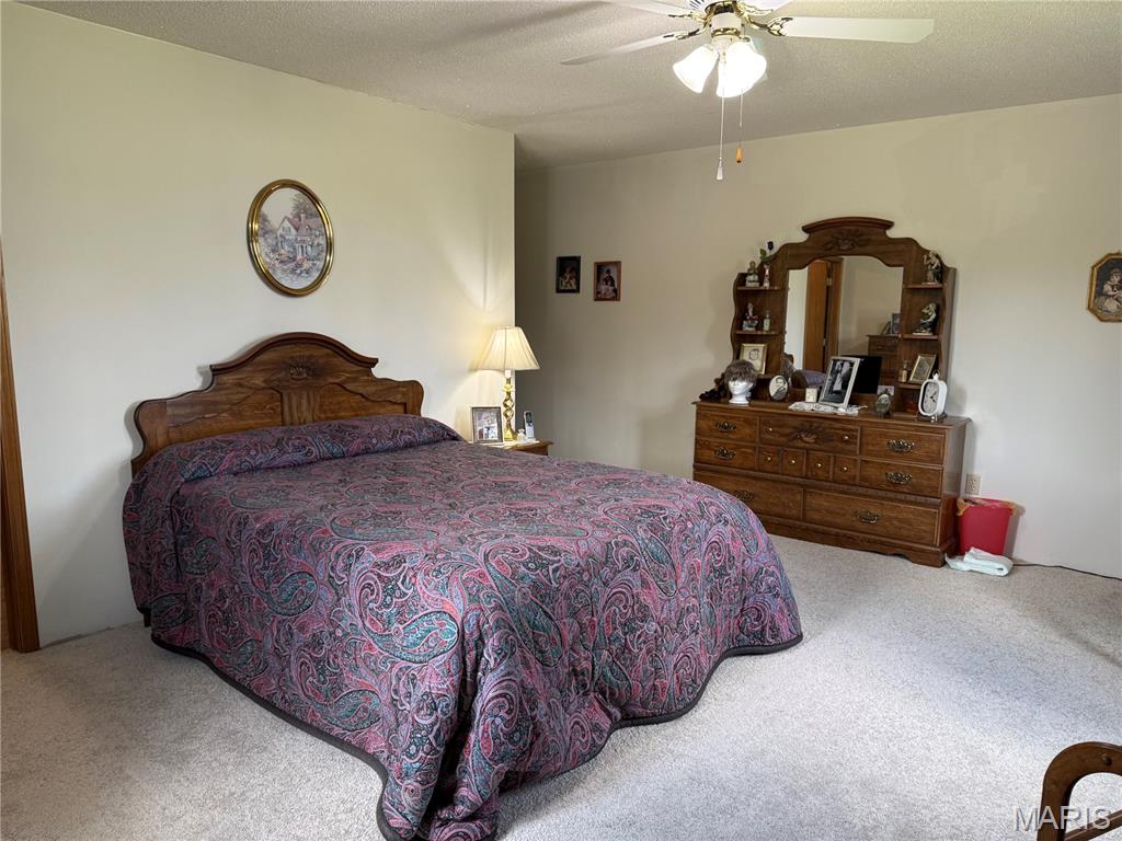 17351 Highway Nn Property Photo 8