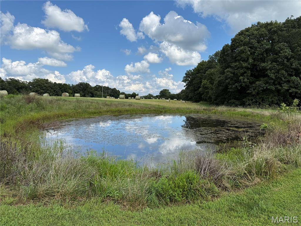 17351 Highway Nn Property Photo 15