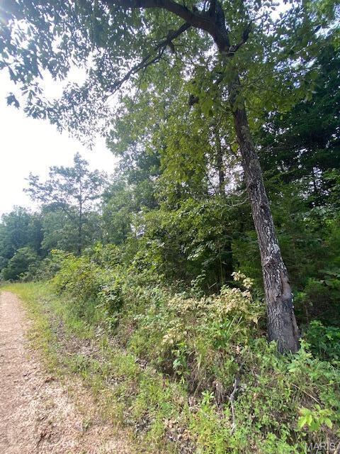 Tbd County Road 355 Property Photo 3