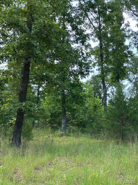 Tbd County Road 355 Property Photo 4