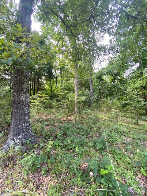 Tbd County Road 355 Property Photo 5