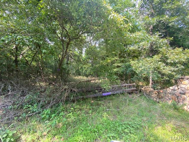 Tbd County Road 355 Property Photo 11