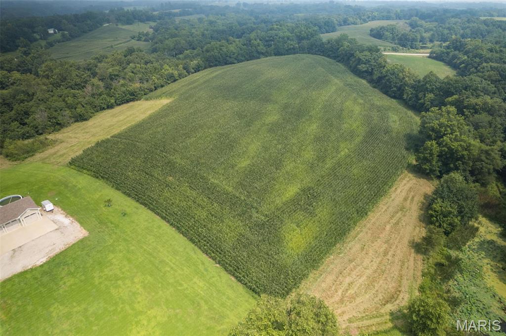 1306 State Route J Property Photo 75