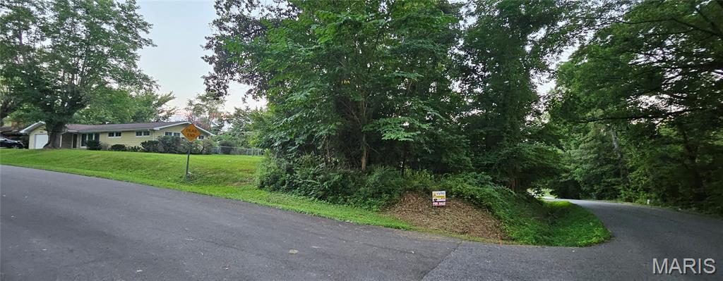 0 Landis Drive Property Photo 3