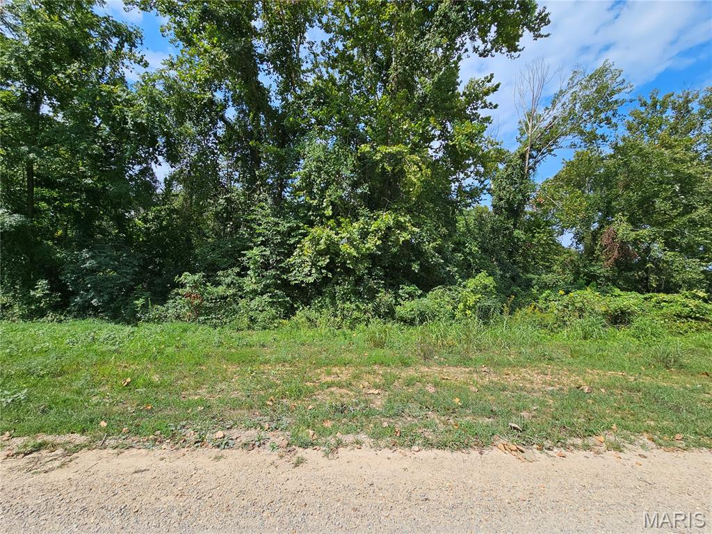 Lot 1 & 2 Ext Deer Run Plat 5 Property Photo 1