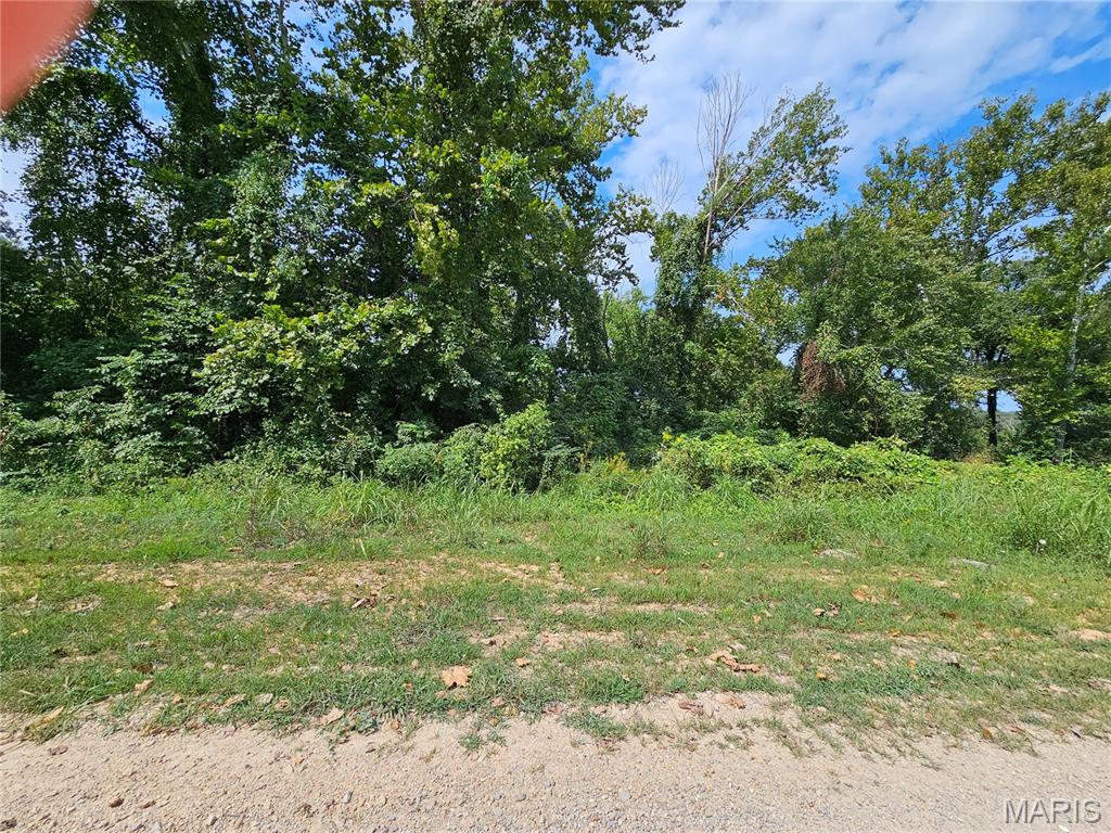 Lot 1 & 2 Ext Deer Run Plat 5 Property Photo 2