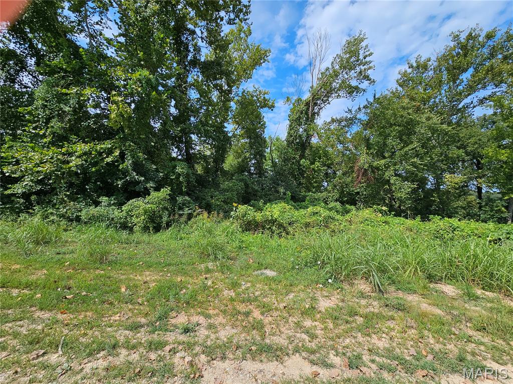 Lot 1 & 2 Ext Deer Run Plat 5 Property Photo 3