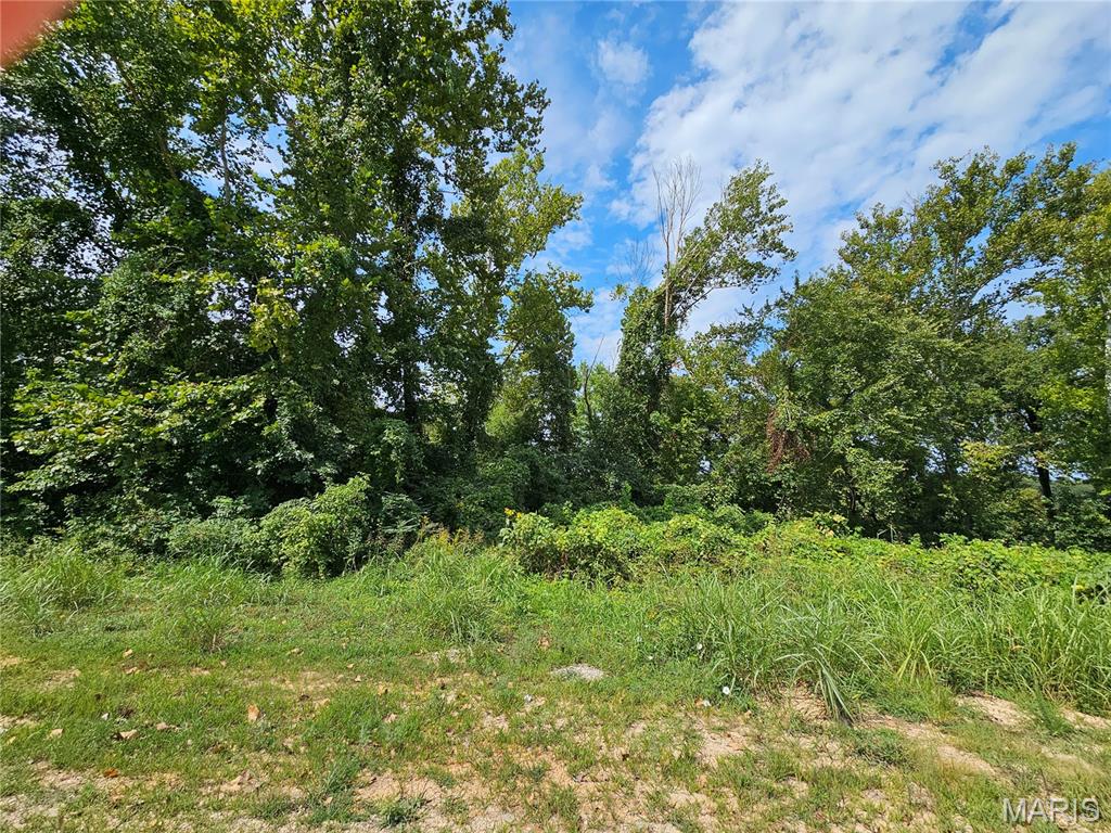 Lot 1 & 2 Ext Deer Run Plat 5 Property Photo 4