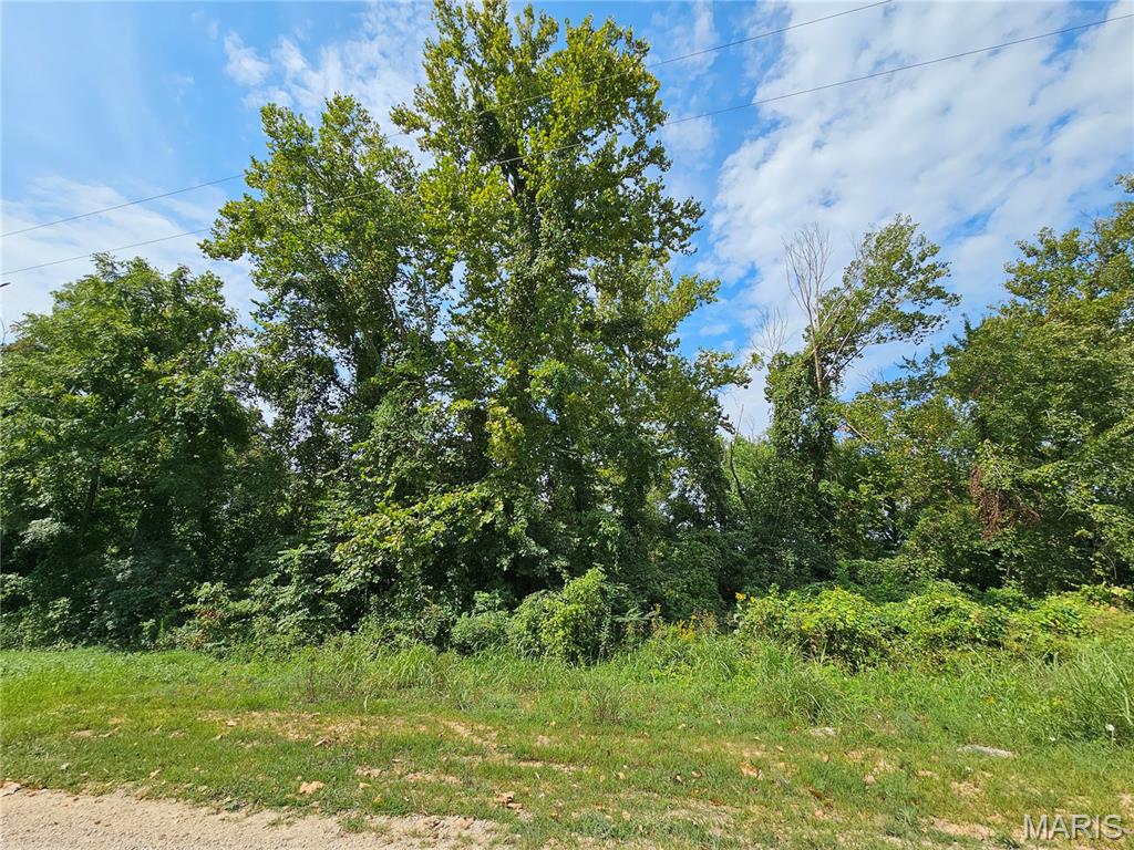 Lot 1 & 2 Ext Deer Run Plat 5 Property Photo 5