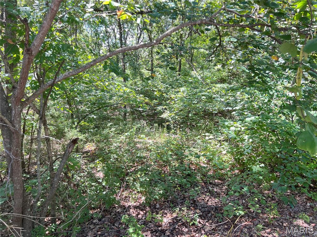 2084 Sheltered Way Property Photo 3