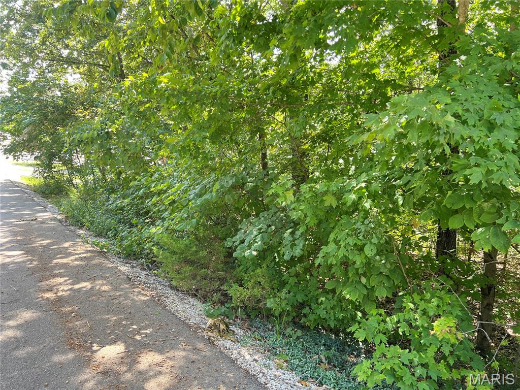 2084 Sheltered Way Property Photo 4