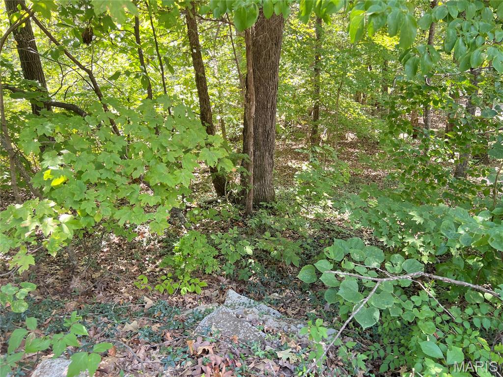 2084 Sheltered Way Property Photo 5