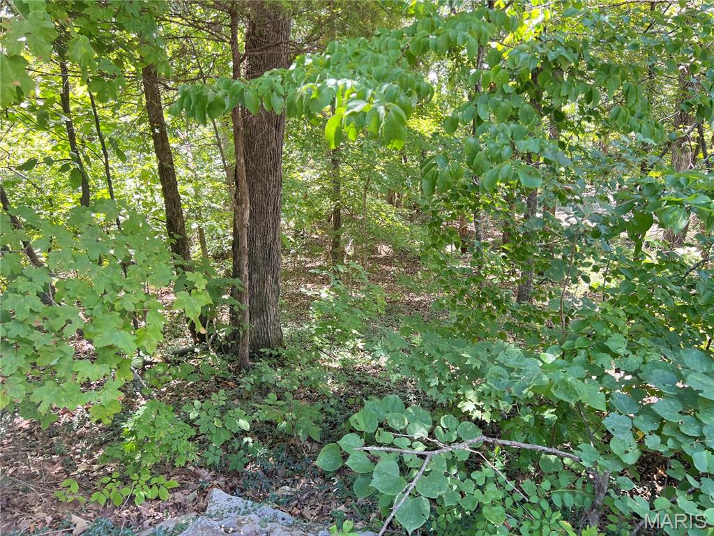 2084 Sheltered Way Property Photo 6