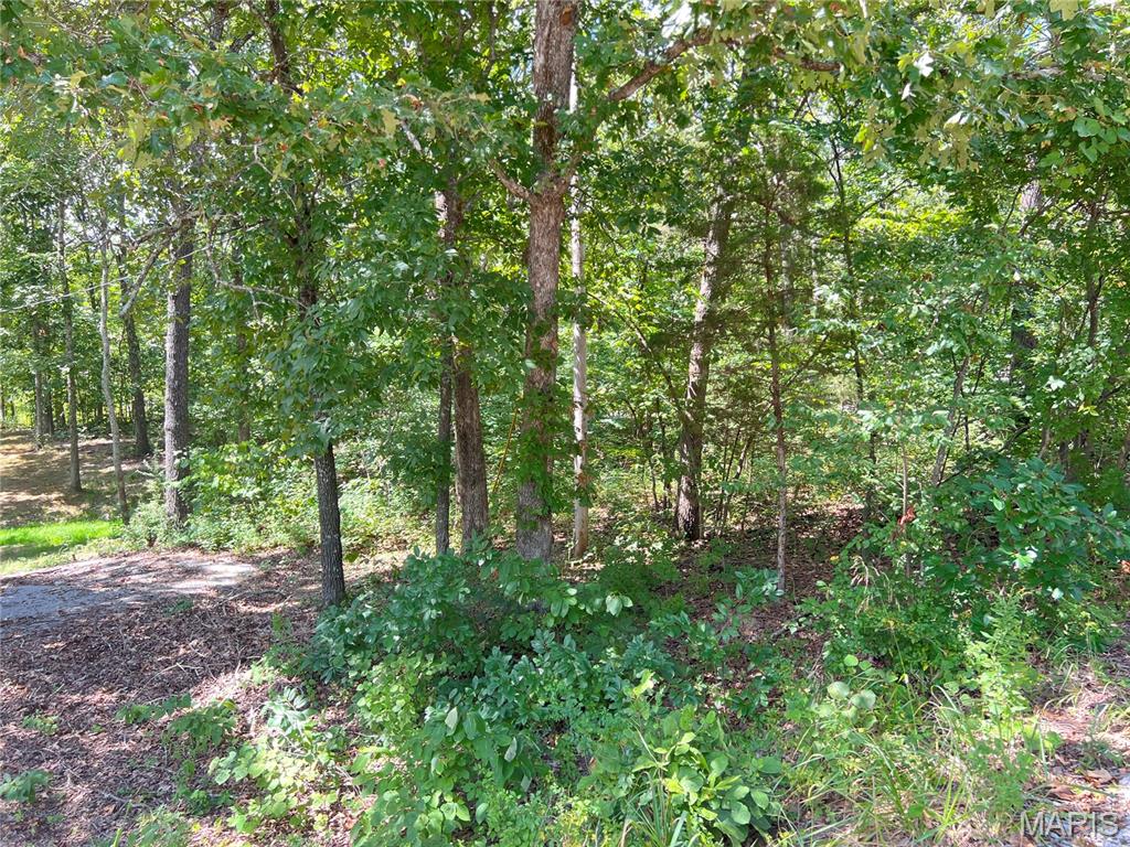 2084 Sheltered Way Property Photo 8