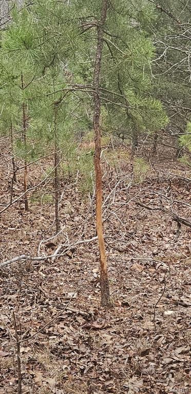 0 County Road 924 Property Photo 1