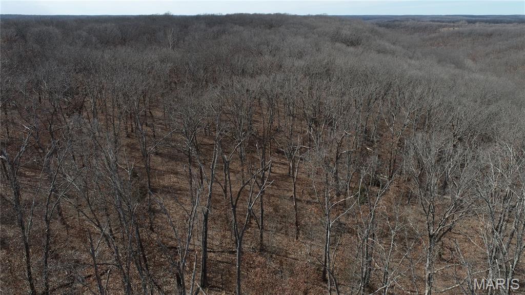 1038 Mug Drive Property Photo 9