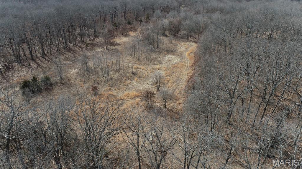 1038 Mug Drive Property Photo 11