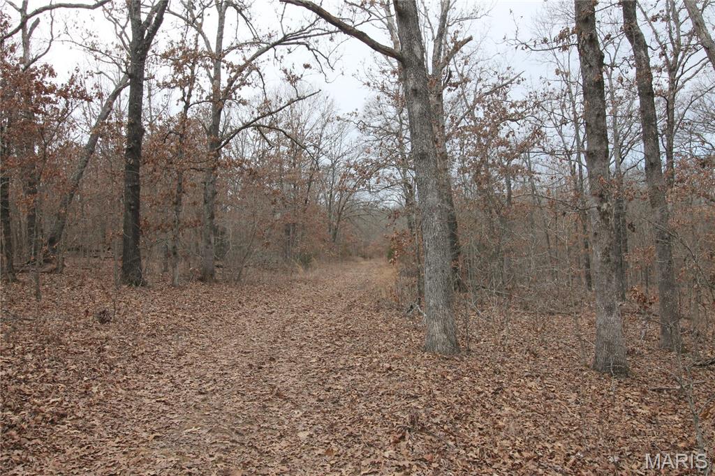 1038 Mug Drive Property Photo 15