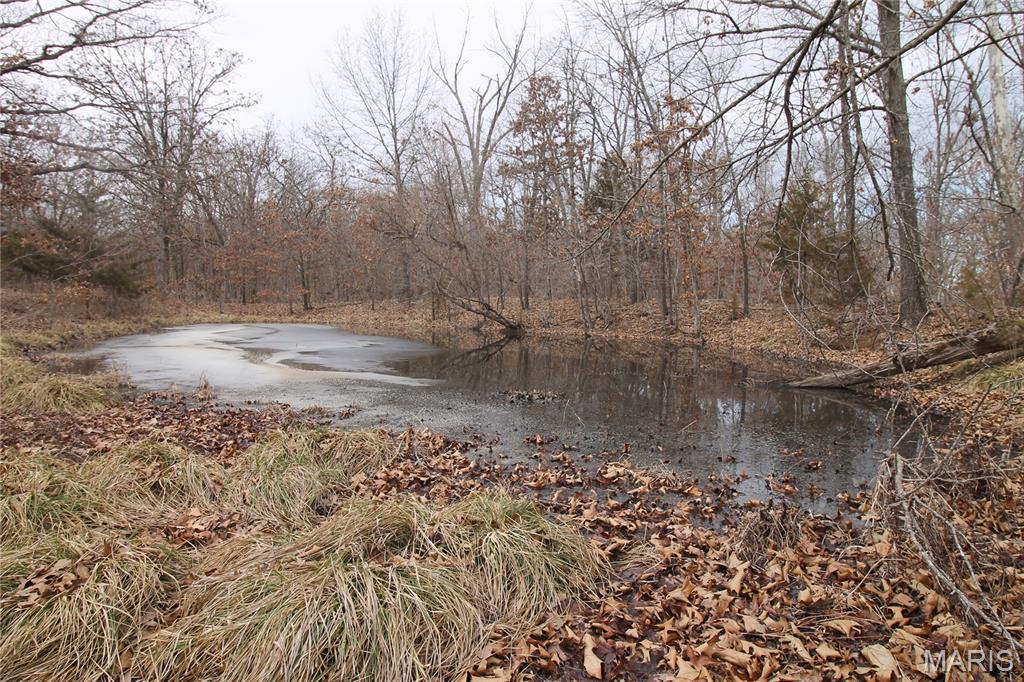 1038 Mug Drive Property Photo 16