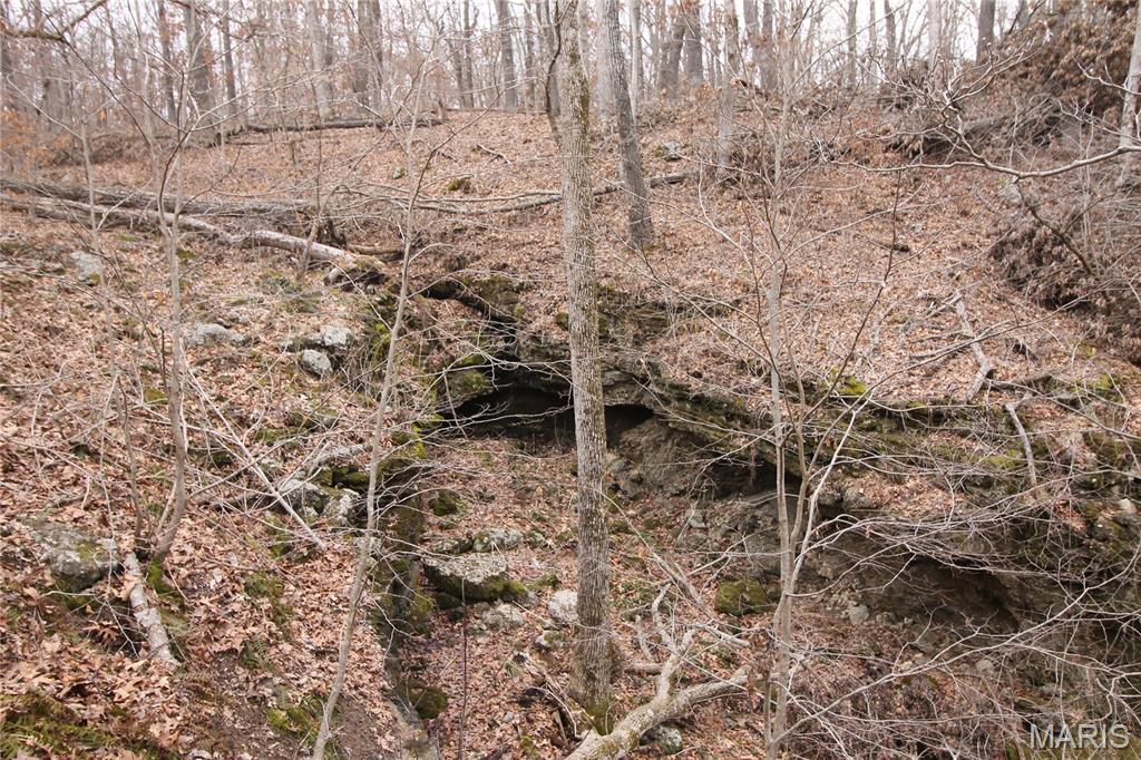 1038 Mug Drive Property Photo 17