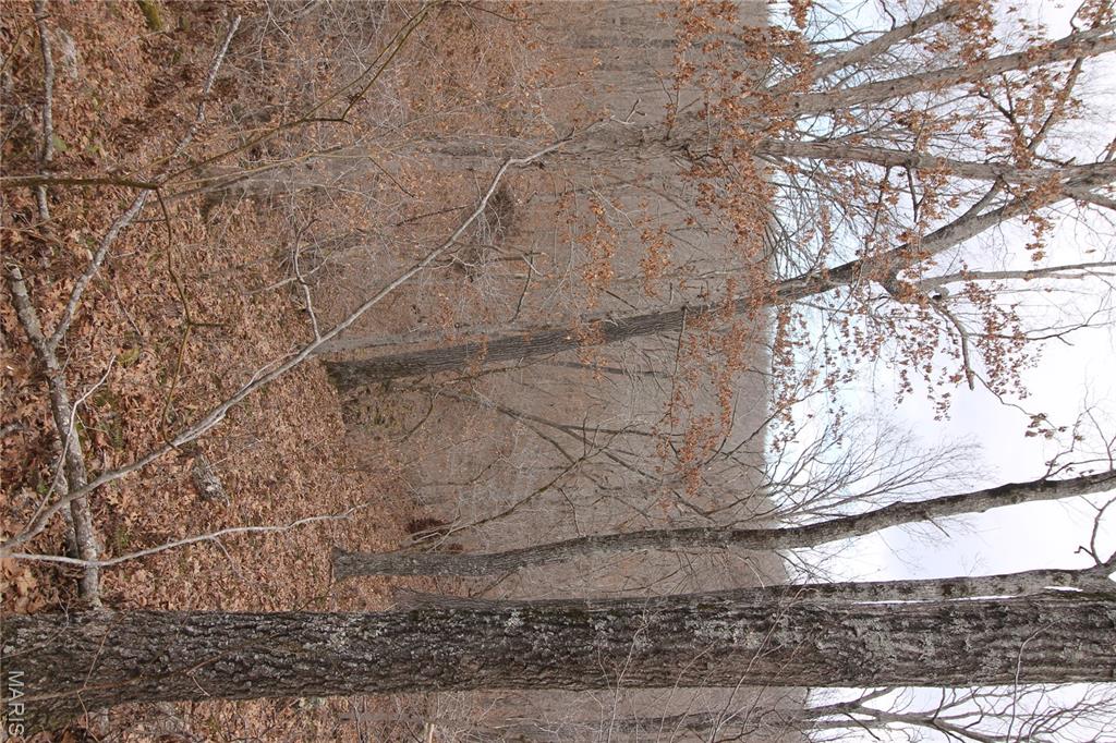 1038 Mug Drive Property Photo 18