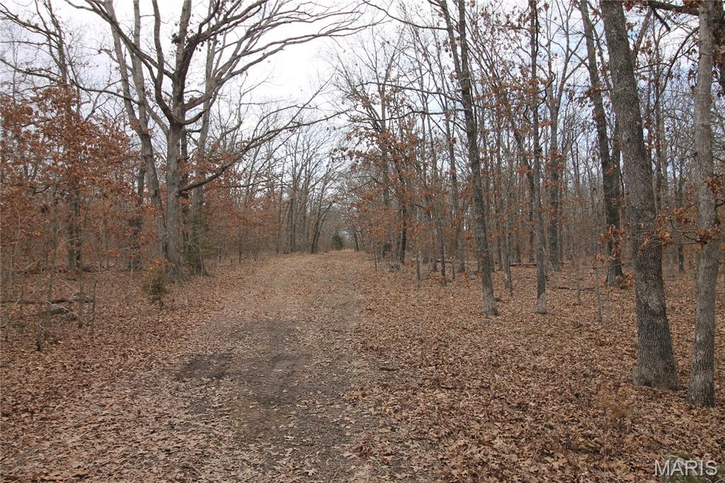 1038 Mug Drive Property Photo 19