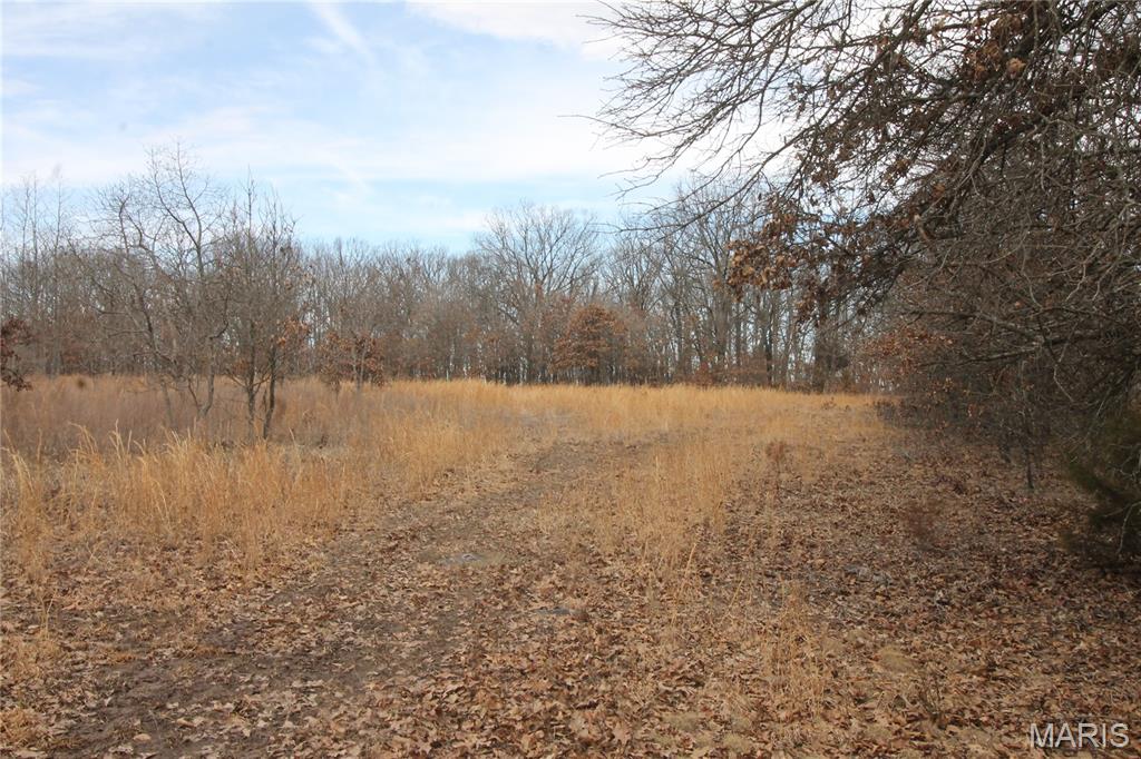 1038 Mug Drive Property Photo 20
