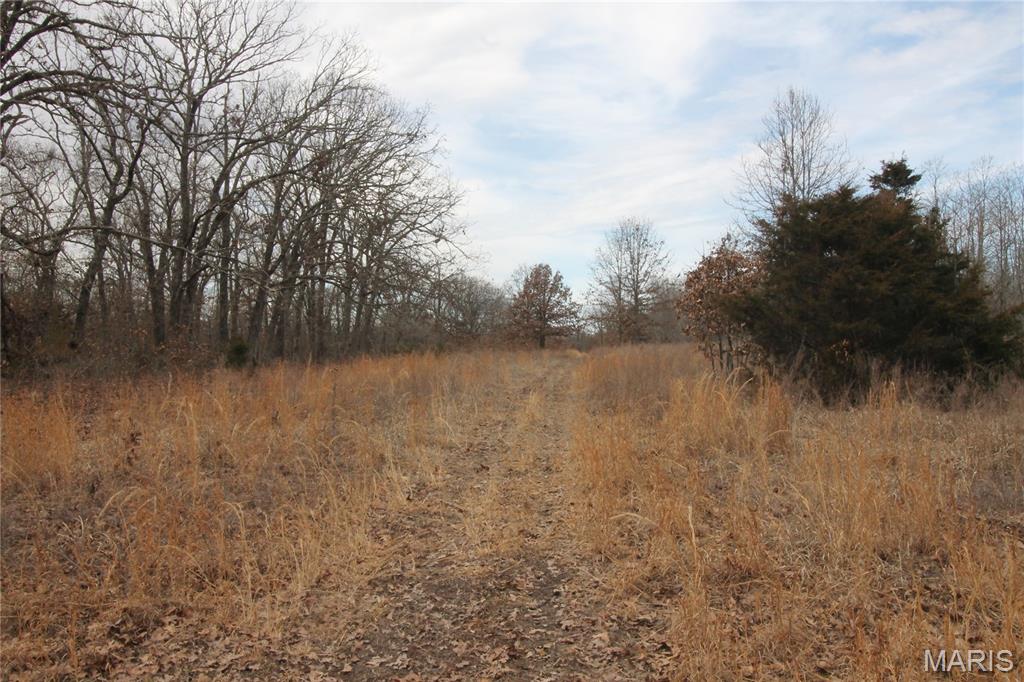 1038 Mug Drive Property Photo 21