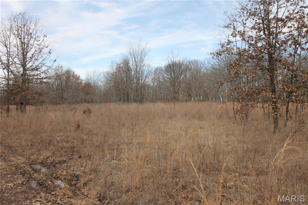 1038 Mug Drive Property Photo 22