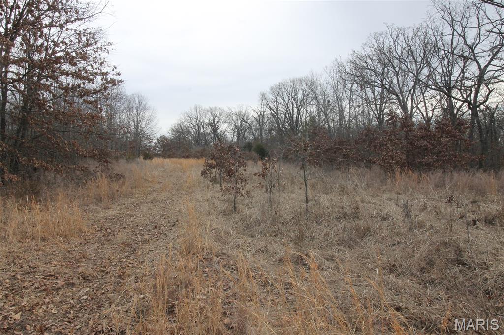 1038 Mug Drive Property Photo 23