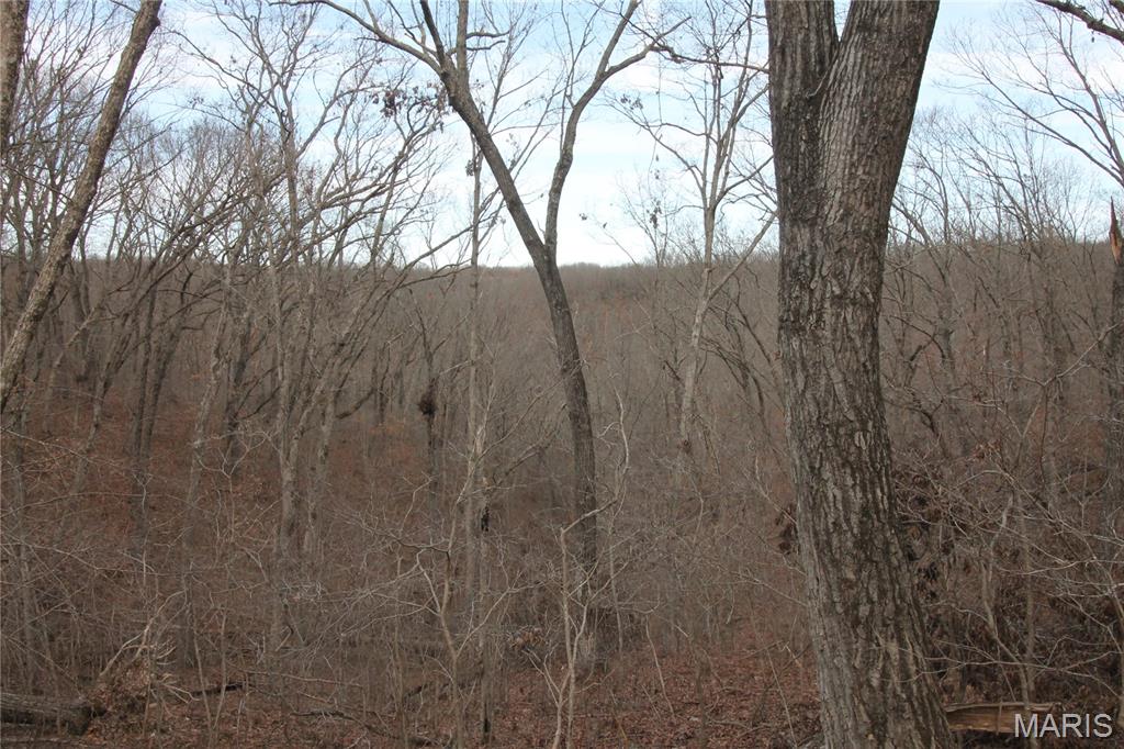 1038 Mug Drive Property Photo 24