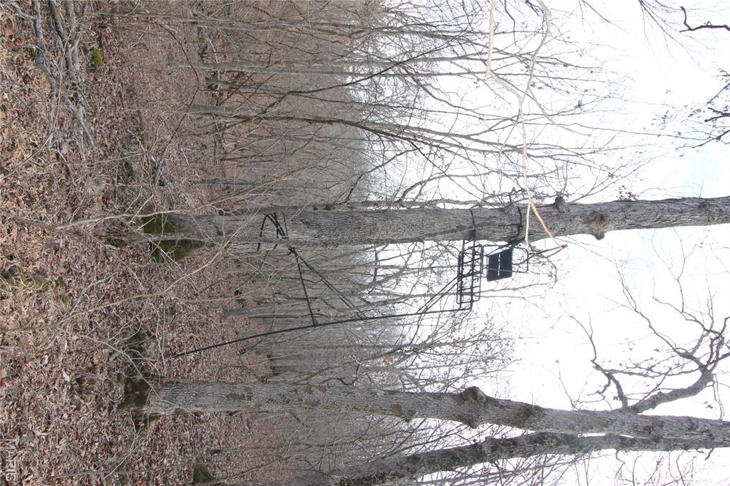 1038 Mug Drive Property Photo 28