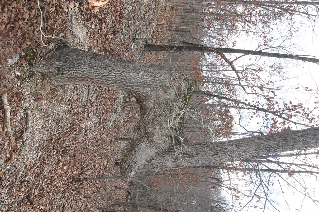 1038 Mug Drive Property Photo 29
