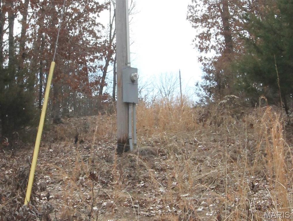 1038 Mug Drive Property Photo 47