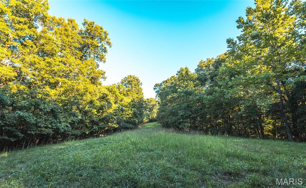 24418 Golden Beach Rd Property Photo 5