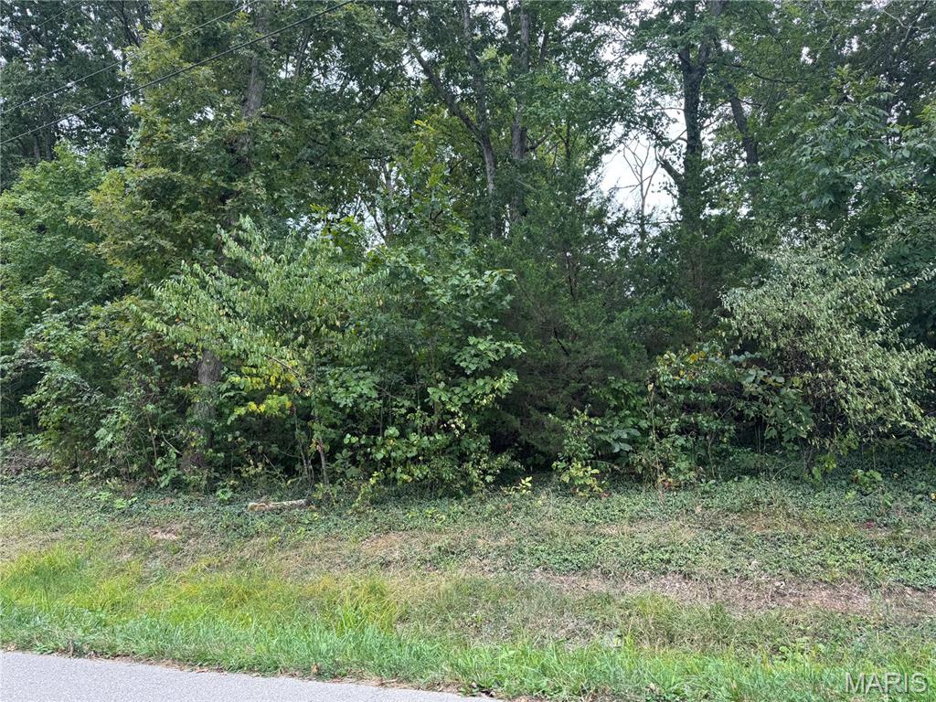 0 Cedar Circle Property Photo 1