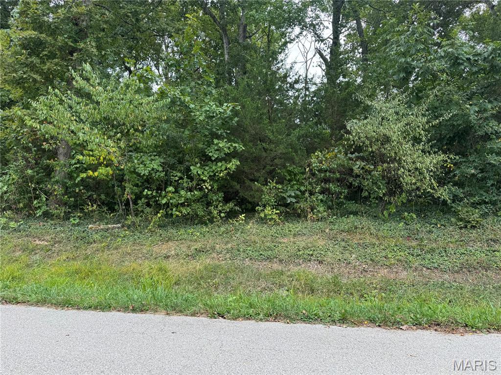 0 Cedar Circle Property Photo 2