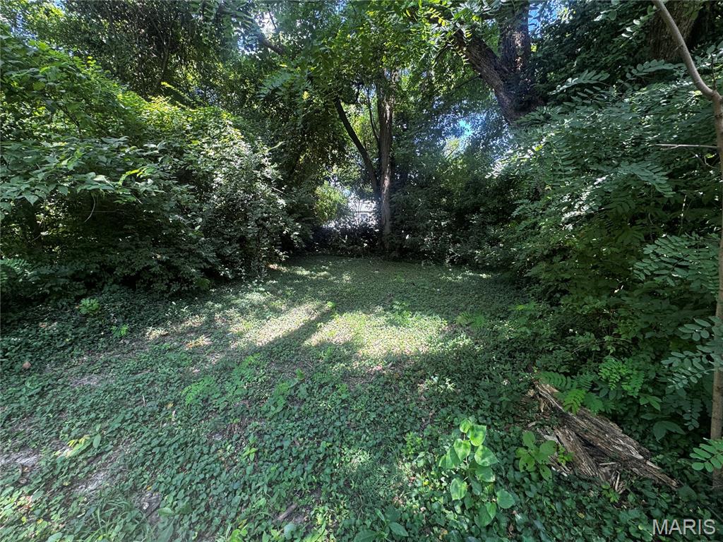2413 Switzer Avenue Property Photo 9