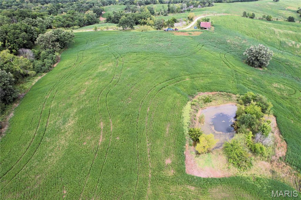 0 Helmet Rd. Property Photo 4