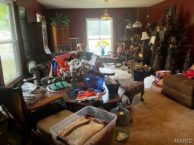 622 W Martin Avenue Property Photo 4