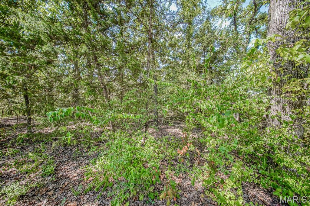 0 Faust Court Property Photo 1