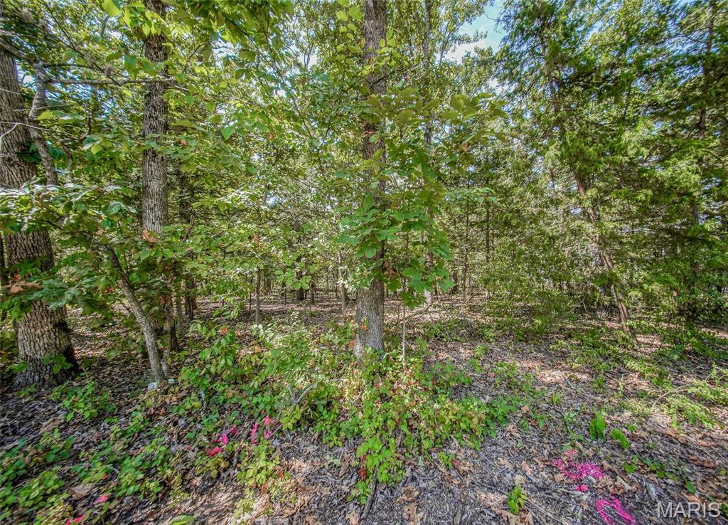 0 Faust Court Property Photo 2