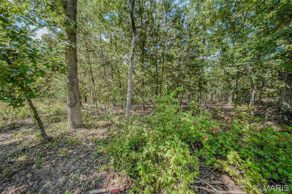 0 Faust Court Property Photo 3