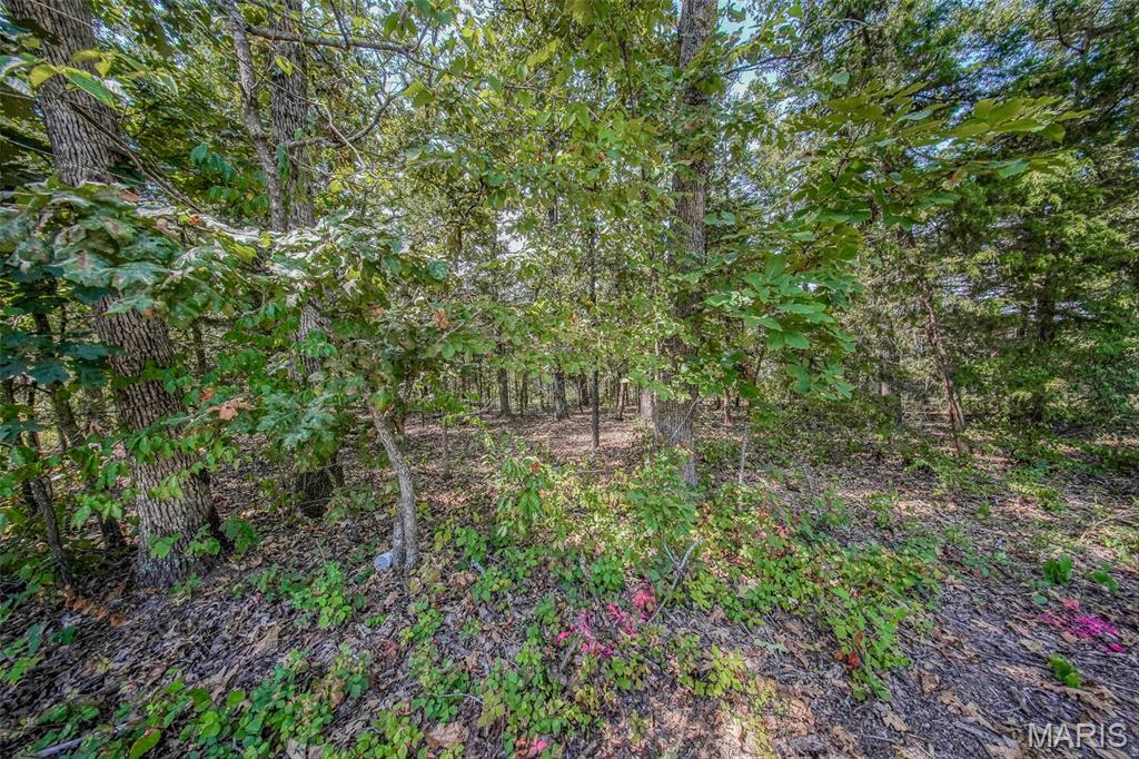 0 Faust Court Property Photo 4