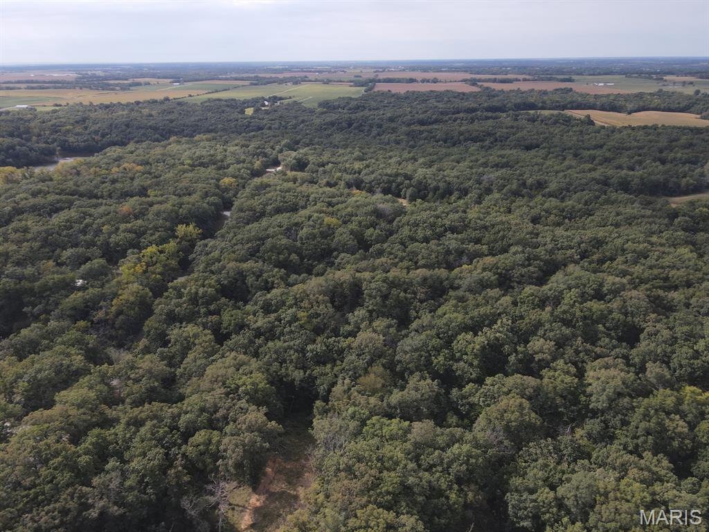 28148 Commanche Trail Property Photo 17