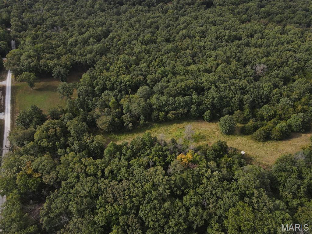 28148 Commanche Trail Property Photo 19