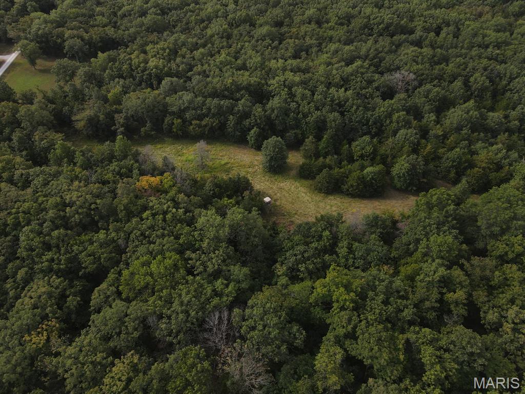 28148 Commanche Trail Property Photo 20
